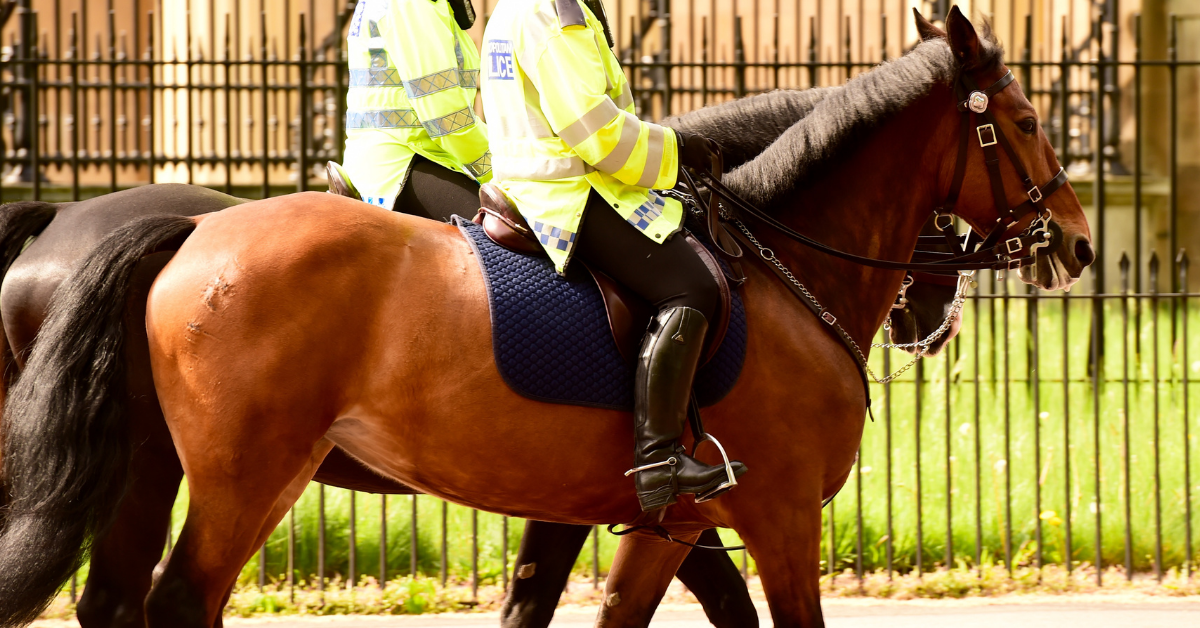 NYPD Policeman on Horse